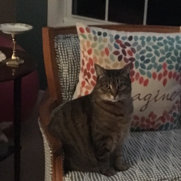 Meet your Posher, Tammy - Picture 6 of 8